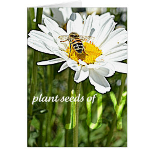 Freude-Gänseblümchen-Karte