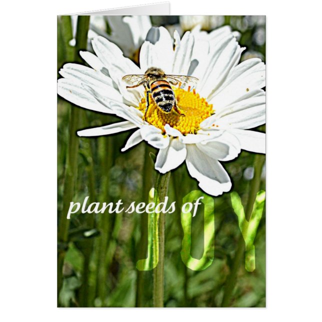 Freude-Gänseblümchen-Karte (Vorne)