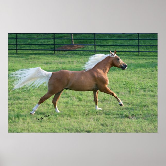 Freude Poster (Vorne)