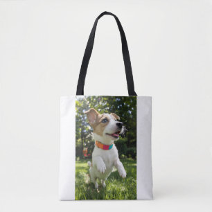 Freudefunken des Hundes