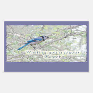 Freudiger blauer Jay-Singvogel Ostern Rechteckiger Aufkleber