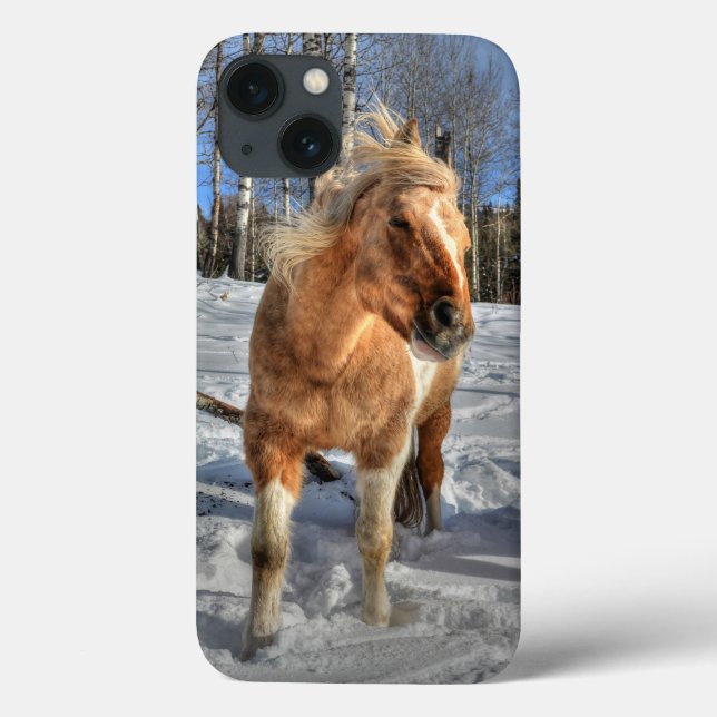 Freuen Sie sich auf den Palomino Pinto Pferd und S Case-Mate iPhone Hülle (Rückseite)