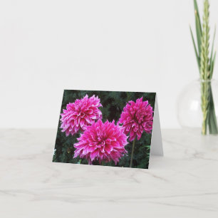 Freund-Garten-Raum-innere Karte