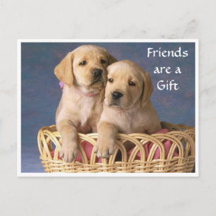 Freund Labrador Retriever Welpen Gruß Postkarte