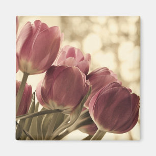 Freund-Magnet Magnet