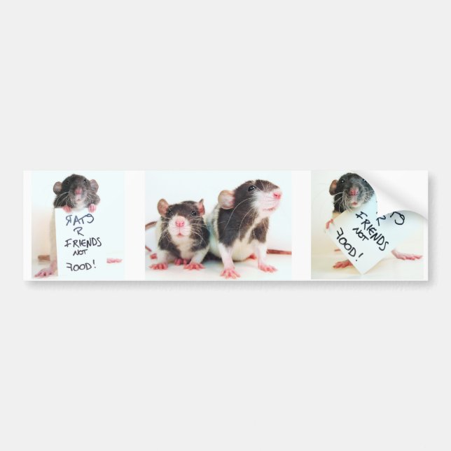 Freund-nicht Nahrung 2 der Ratten-R Autoaufkleber (Vorne)