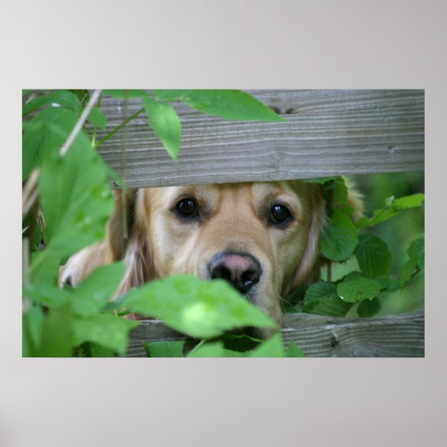 Freund Poster (Vorne)