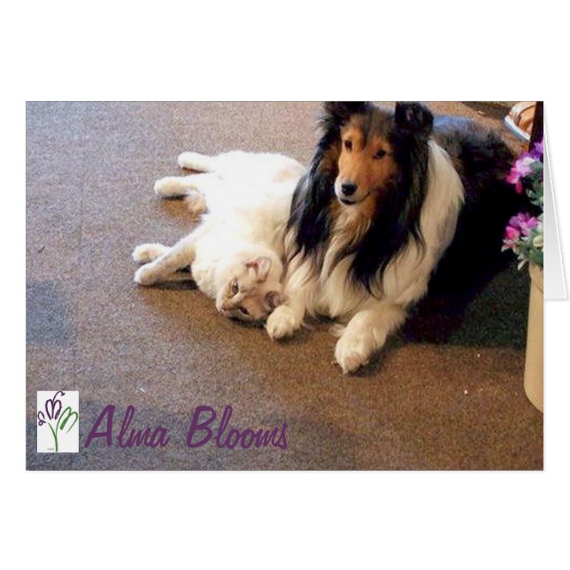 Freunde (Vorderseite (Horizontal))