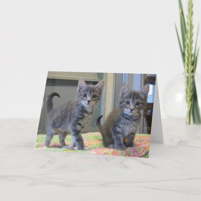 Freunde 099 karte (Vorderseite)