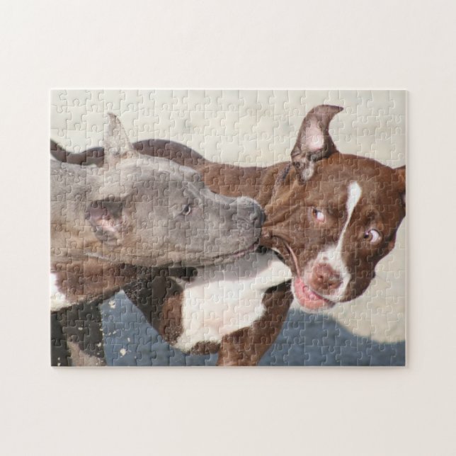 Freunde beim Spielen - Pitbull Welpen Puzzle (Horizontal)
