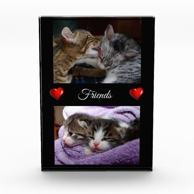 Freunde Fotoblock (Vorderseite)