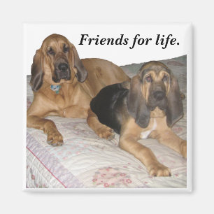 Freunde für das Leben Magnet