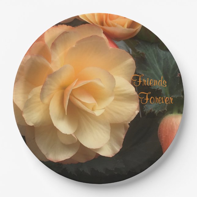 Freunde für immer pappteller (Vorderseite)