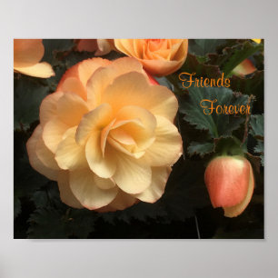 Freunde für immer poster