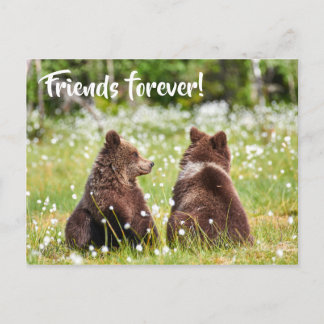 Freunde für immer Postkarte