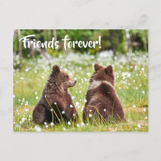 Freunde für immer Postkarte (Vorderseite)