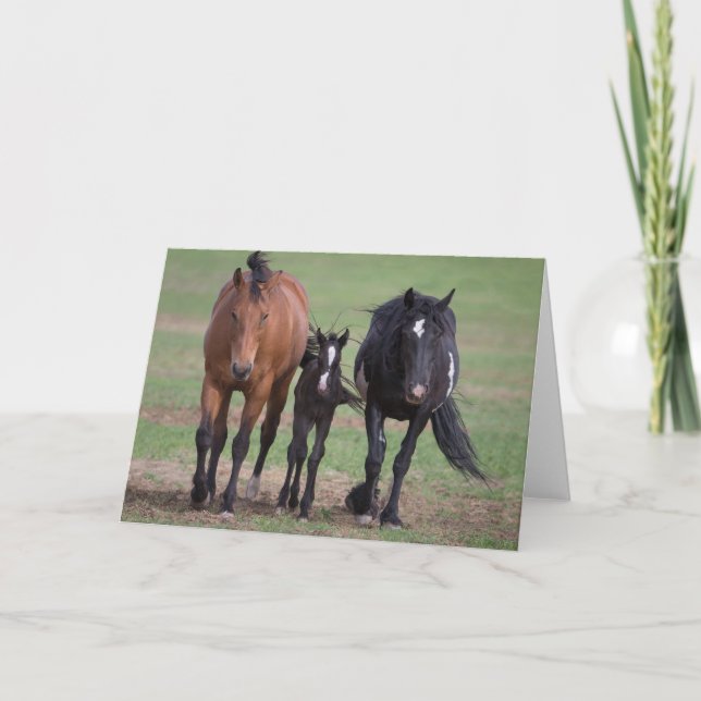Freunde - Galloping to Freedom Greeting Card Karte (Vorderseite)