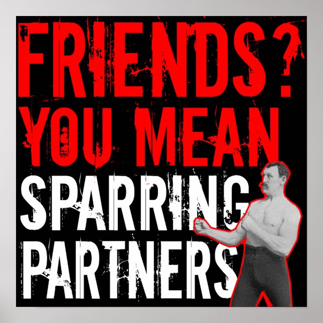 Freunde? Gemeine Sparring-Partner MIXED MARTIAL AR Poster (Vorne)
