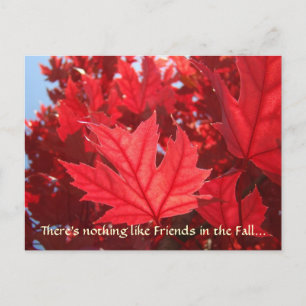 Freunde im Herbst! Postkarten Roter Herbst Blätter