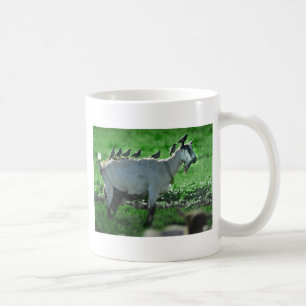 Freunde Kaffeetasse