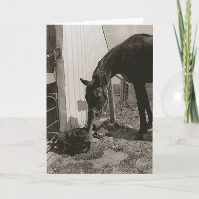 Freunde Karte (Vorderseite)