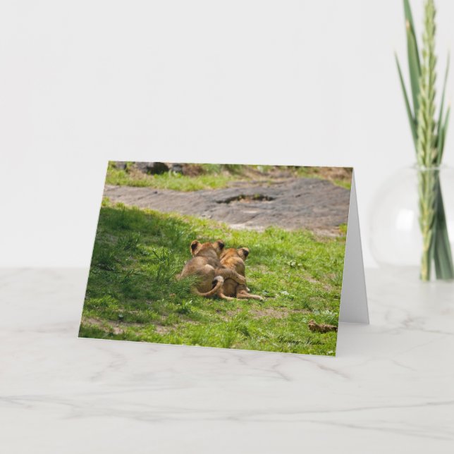 Freunde Karte (Vorderseite)