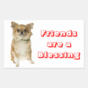 Freunde Langhaar Chihuahua Welpe Hund Aufkleber