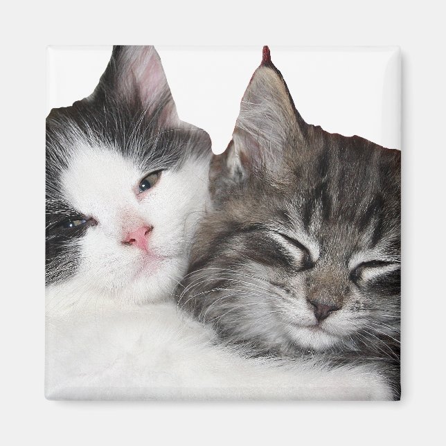 Freunde Magnet (Vorne)