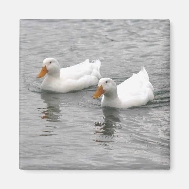 Freunde Magnet (Vorne)