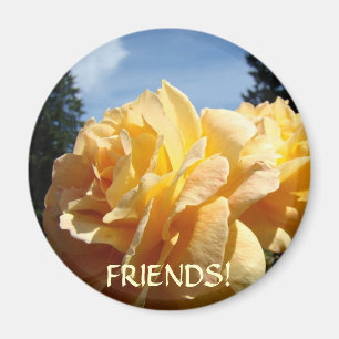 FREUNDE! MAGNET Orange ROSEN GARTEN GESCHENKE