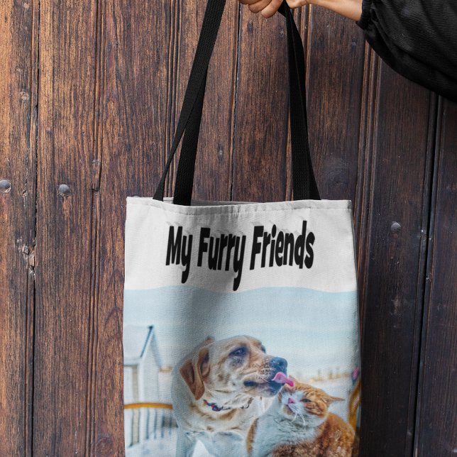 Freunde mit Fell - Katzen- und Hunde-Foto    (Von Creator hochgeladen)