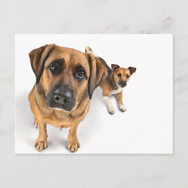 Freunde Postkarte (Vorderseite)