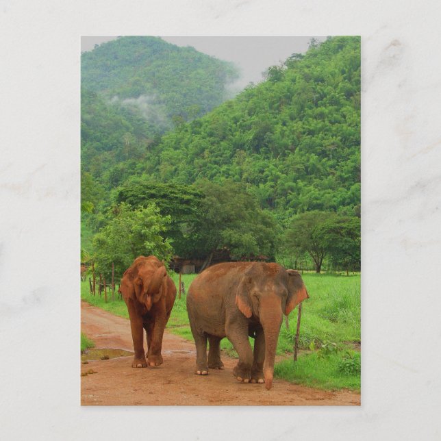 Freunde Postkarte (Vorderseite)