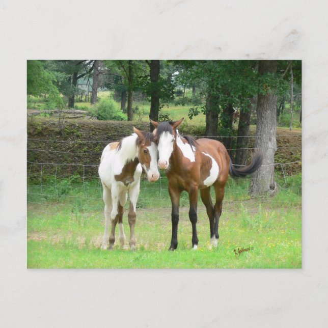 Freunde Postkarte (Vorderseite)