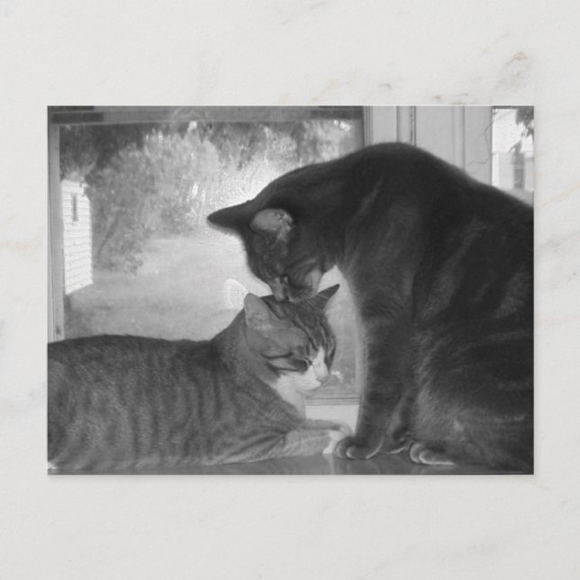 Freunde Postkarte (Vorderseite)