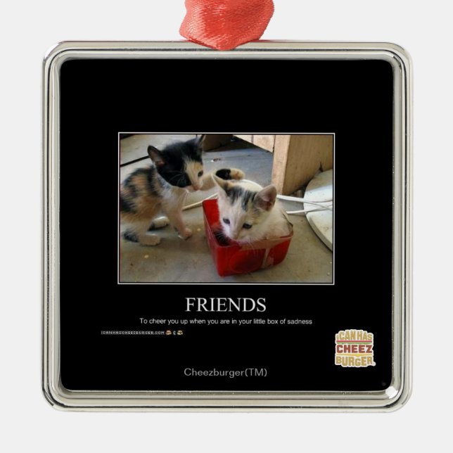 Freunde Silbernes Ornament (Vorne)