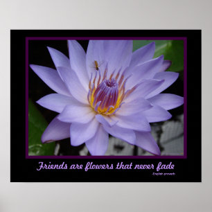 Freunde sind Blume Freundschaft Lila Wasserlilie Poster