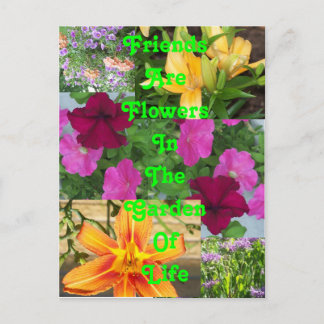 Freunde sind Blume ... PostkartePC78 Postkarte