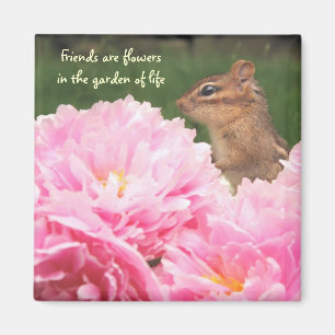 Freunde sind Blume Zitat Chipmunk Magnet