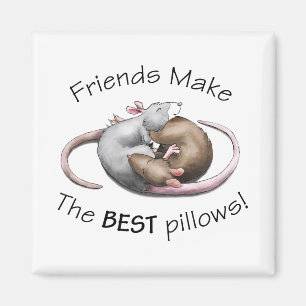 Freunde sind die BESTEN Kissen! Magnet