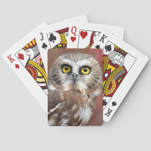 Freunde Spielkarten (Rückseite)