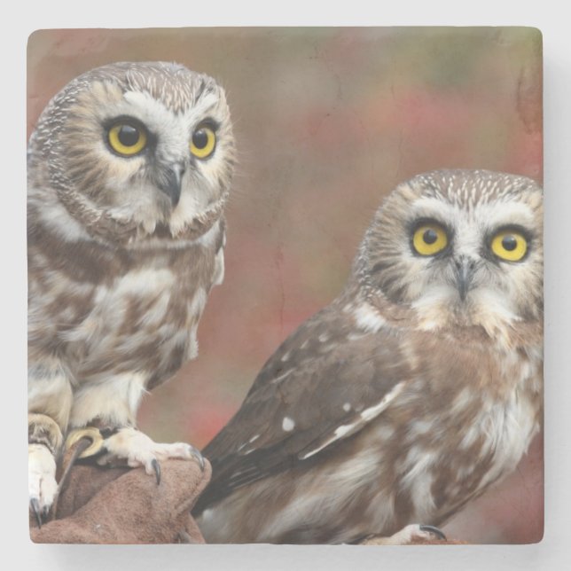 Freunde Steinuntersetzer (Vorderseite)