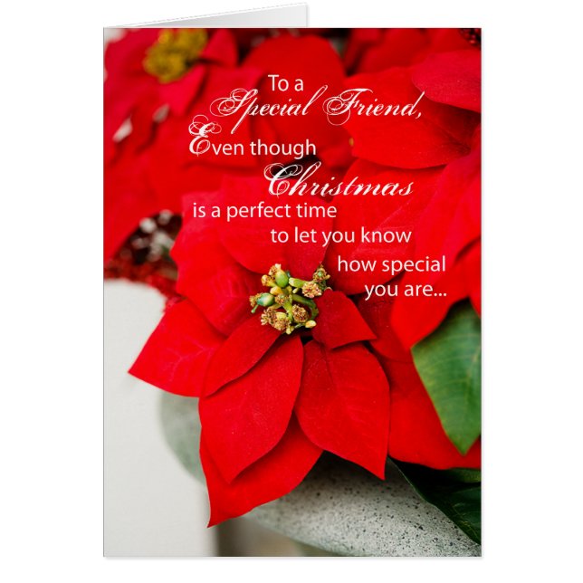 Freunde von Frohen Festtagen mit Red Poinsettia (Vorne)