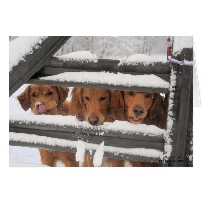 Freundes drei (Vorderseite (Horizontal))