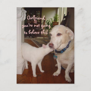 Freundin, du wirst nicht glauben! postkarte