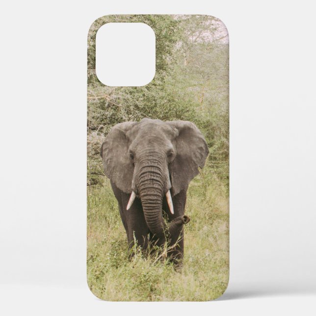 FREUNDLICH AUF EIN TOUR Case-Mate iPhone HÜLLE (Rückseite)