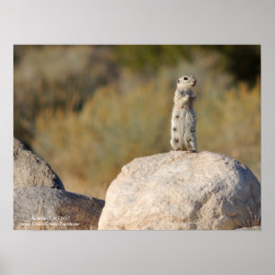 Freundliche Grüße Poster