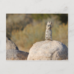 Freundliche Grüße Postkarte