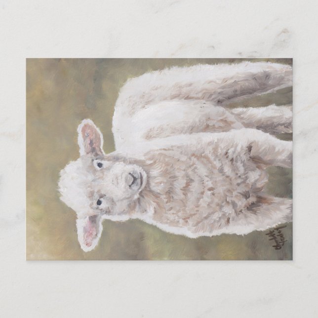 Freundliche Lamm Sheep Animal Art Postkarte (Vorderseite)