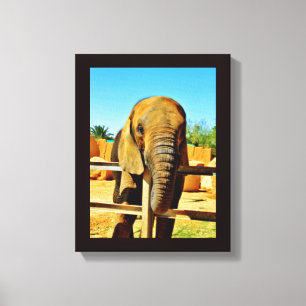 Freundlicher Elephant Leinwanddruck